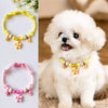 PAWSLUMI Accessories collection banner