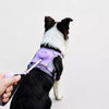 PAWSLUMI Behavior Management collection banner