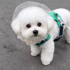 PAWSLUMI Boots, Socks & Protective Gear collection banner