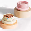 PAWSLUMI Bowls & Feeders collection banner