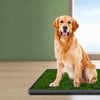 PAWSLUMI Cleaning & Potty collection banner