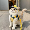 Dog and cat supplies collection banner