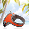 PAWSLUMI Harnesses collection banner