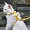 PAWSLUMI Leash Training collection banner