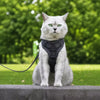 PAWSLUMI Leashes collection banner