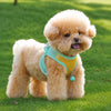 PAWSLUMI Outdoor Gear collection banner