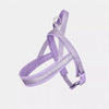 PAWSLUMI Walking & Travel pet supplies collection banner