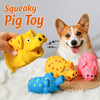 Squeaky Pig Toy for Dogs