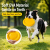 Interactive Dog Toys for Fetch, Tug and Training Play