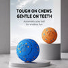 Interactive Electric Bouncing Ball Toy for Dogs