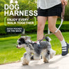 Adjustable Vest-Style Dog Harness & Leash Set