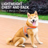 Nylon Vest-Style Dog Harness with Integrated Leash