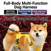 Dog Harness and Leash