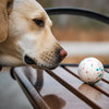 Floating Foam Fetch Toy Ball for Dogs and Cats