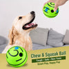 Squeaky Dog Ball Toy for Interactive Play