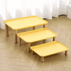 Elevated Pet Feeding Stand with Wooden Legs for Cats and Dogs