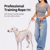 Integrated Dog Collar and Leash with Control Handle