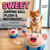Interactive Dog Toys with Sound and Bouncing Action
