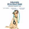 Dog Slip Lead for Everyday Walks and Training