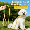 Polyester Dog Slip Lead for Training
