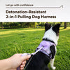 All-in-One Pet Harness and Leash Vest