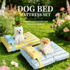 Striped Pet Bed with Removable, Washable Cushion