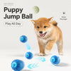 Interactive Electric Bouncing Ball Toy for Dogs