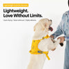 Lightweight Pet Harness and Leash Set