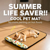 Summer Pet Rest Mat for Cats and Dogs