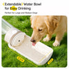 Portable Dog Water Bottle for Walks and Outdoor Trips