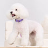 Jeweled Faux Leather Collar for Dogs and Cats