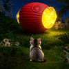 Adjustable Interactive Teaser Ball Cat Toy with String