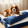 Memory Foam Pet Bed for Small Dogs