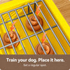 Dog Potty Training Tray with Reinforced Grid
