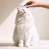 Pet Detangling Comb for Long-Haired Cats and Dogs
