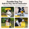 Interactive Dog Toys for Fetch, Tug and Training Play