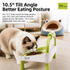 Elevated Double Ceramic Pet Bowl for Cats & Dogs