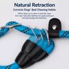 Dog Slip Lead for Everyday Walks and Training