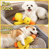 Plush Squeaky Dog Toy Collection