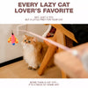 Retractable Cat Teaser Wand with Replaceable Toy Head