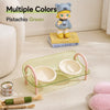 Double Pet Bowl Set with Slow-Feed Design and Splash Control