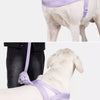 Wraparound Dog Harness