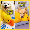 Plush Squeaky Dog Toy Collection