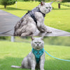 Reflective Nylon Cat Harness and Leash