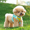 Nylon Dog Vest Harness with Leash