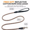 Nylon Vest-Style Dog Harness with Integrated Leash