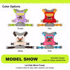 Adjustable Vest-Style Dog Harness & Leash Set