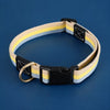 Adjustable Canvas Dog Collar