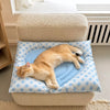 Waterproof PVC Pet Bed Mat for Cats and Small Dogs