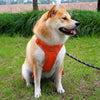 Lightweight Adjustable Vest-Style Dog Harness with Leash